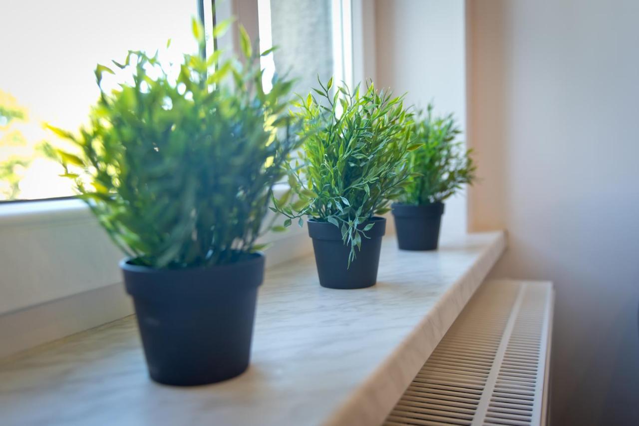 Apartament Kalinka Nysa Ngoại thất bức ảnh